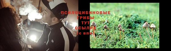 кокс Пролетарск