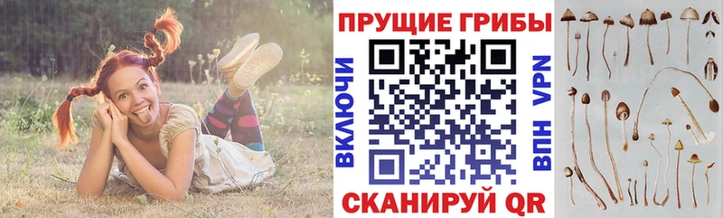 Галлюциногенные грибы Magic Shrooms  Томари 